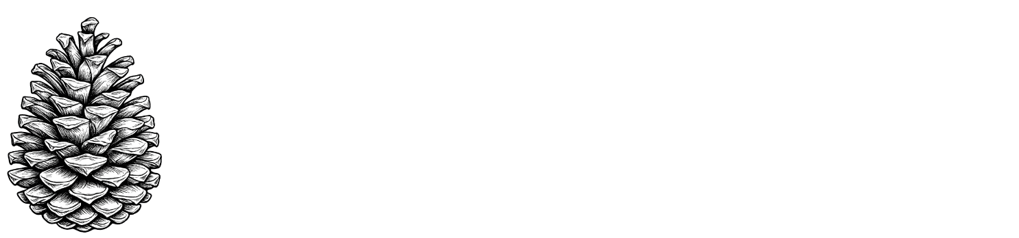 paulscott.io